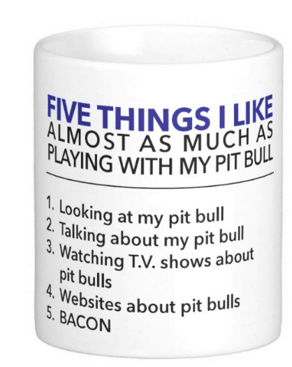 5 Things Mug